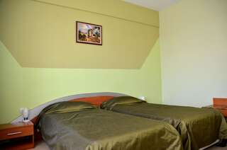 Отель Hotel Diana Бистрица Двухместный номер с 1 кроватью или 2 отдельными кроватями-4