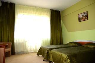 Отель Hotel Diana Бистрица Двухместный номер с 1 кроватью или 2 отдельными кроватями-5